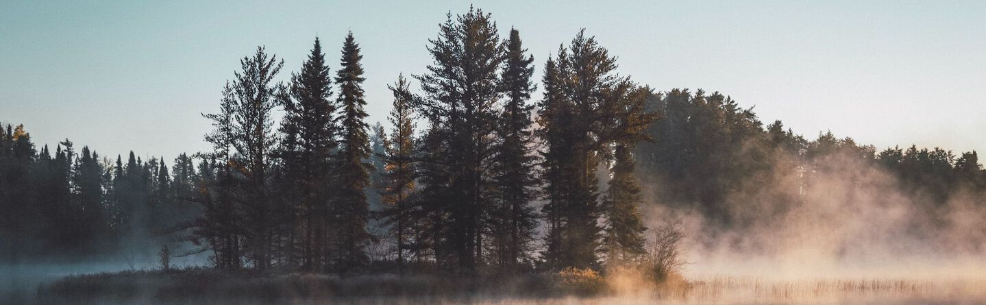 ส่วนบนสุดของเว็บไซต์